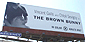 The Brown Bunny Billboard on Sunset Blvd.